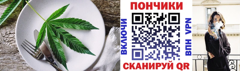Canna-Cookies марихуана  купить  цена  Шумиха 