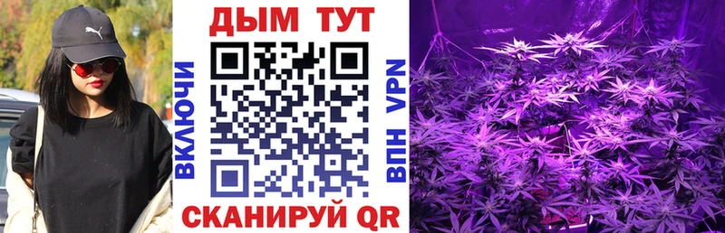 Шишки марихуана THC 21%  Шумиха 